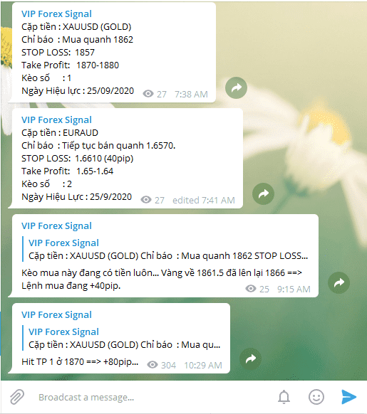 group vip telegram optimized