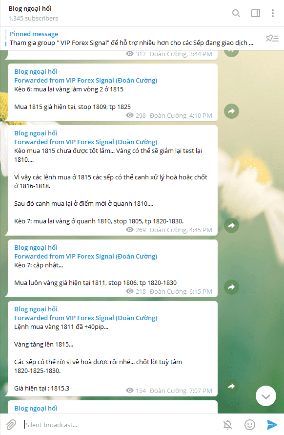 telegram blog ngoai hoi optimized