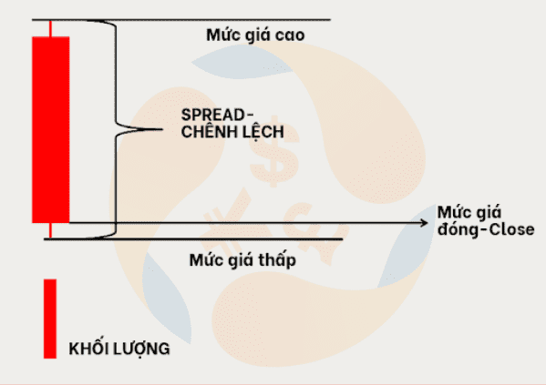 phuong-phap-vsa-blogngoaihoi-8