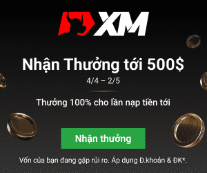 xm-banner-100